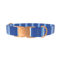 Blue Striped Dog Collar - metal silver