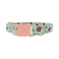 Autumn Hedgehog Dog Collar - plastic rose gold