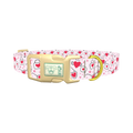 Heart Sunglasses Dog Collar - plastic gold