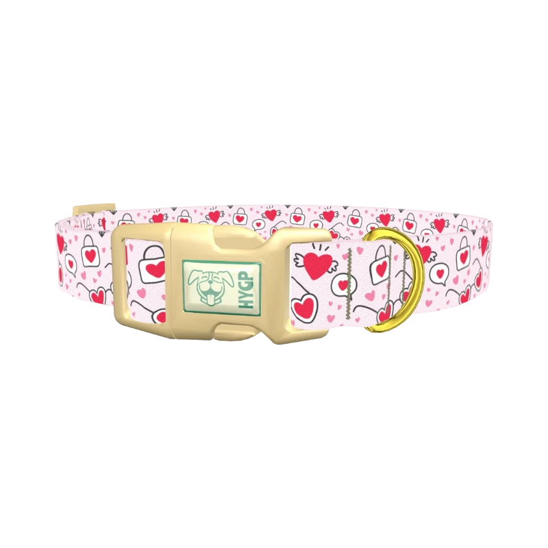 Heart Sunglasses Dog Collar - plastic gold