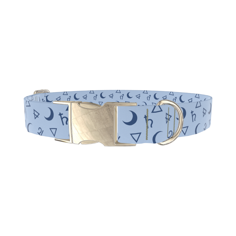 Astrology Symbols Dog Collar - metal gold