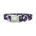 Cactus Ghost Dog Collar - plastic silver