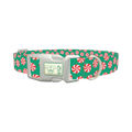 Christmas Candy Dog Collar - plastic silver