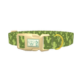 Cactus Desert Dog Collar - plastic gold