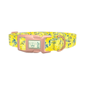 Yellow Abstract Dog Collar - plastic rose gold