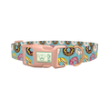 Blue Donut Delight Dog Collar - plastic rose gold