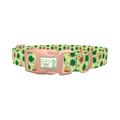 St. Patrick's Day Beer Clover Dog Collar - plastic rose gold