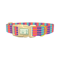 Color Block Stripes Dog Collar - plastic gold