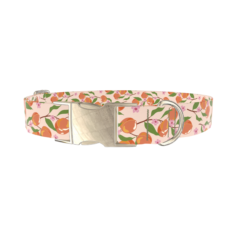 Peach Blossom Dog Collar - metal silver