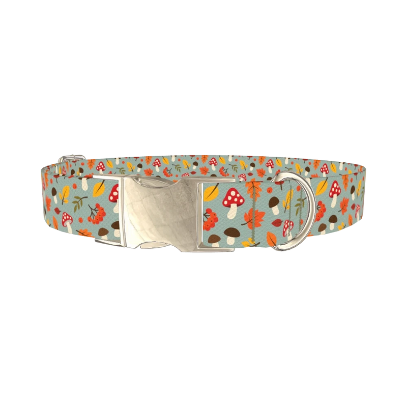 Autumn Leaves Mushroom Dog Collar - metal silver