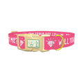 Will You Marry Me Diamond Dog Collar - plastic gold