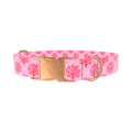 Coral Reef Dog Collar - metal silver