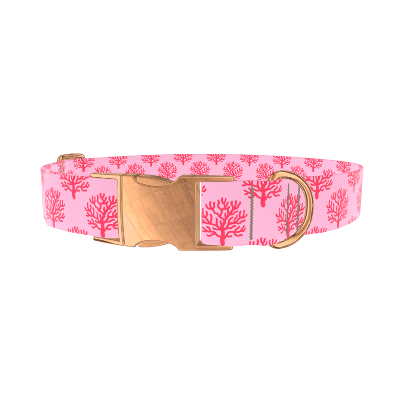 Coral Reef Dog Collar - metal silver