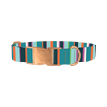 Bright Stripe Dog Collar - metal rose gold
