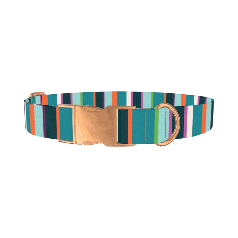 Bright Stripe Dog Collar - metal rose gold