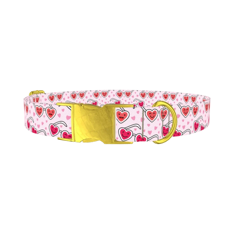 Heart Glasses Dog Collar - metal gold