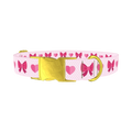 Valentine Ribbon Dog Collar - metal gold