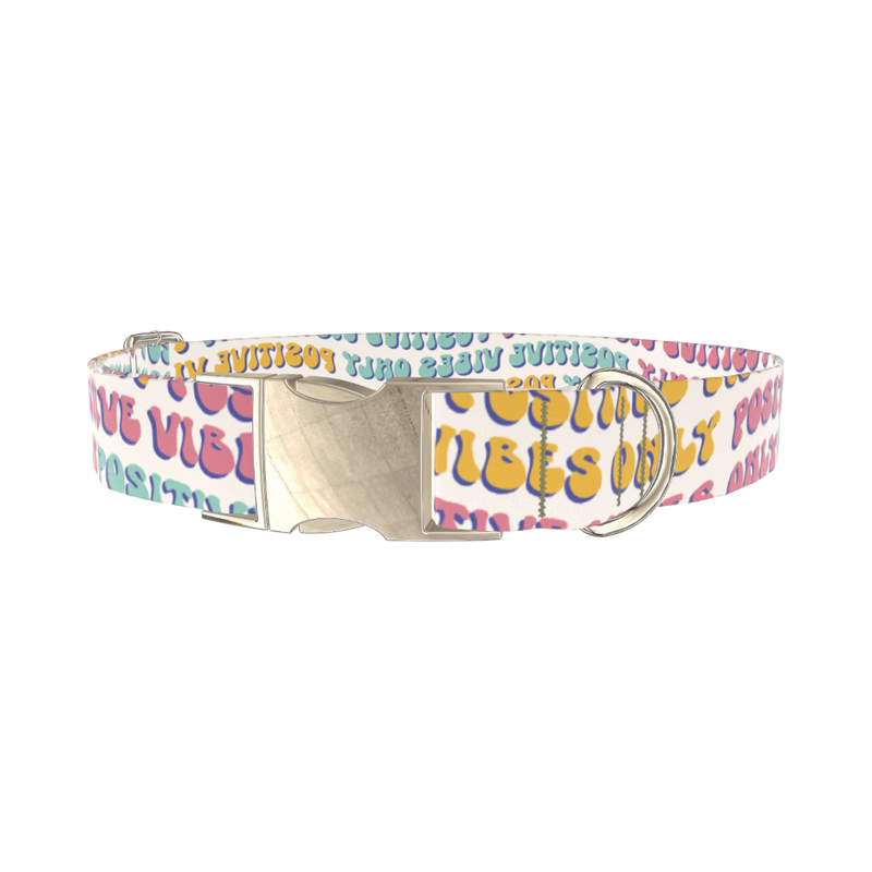 Positive Vibes Text Dog Collar - metal silver