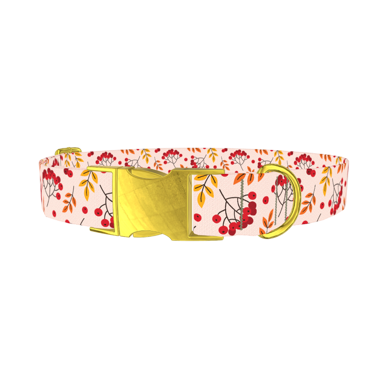 Autumn Rowanberry Dog Collar - metal gold