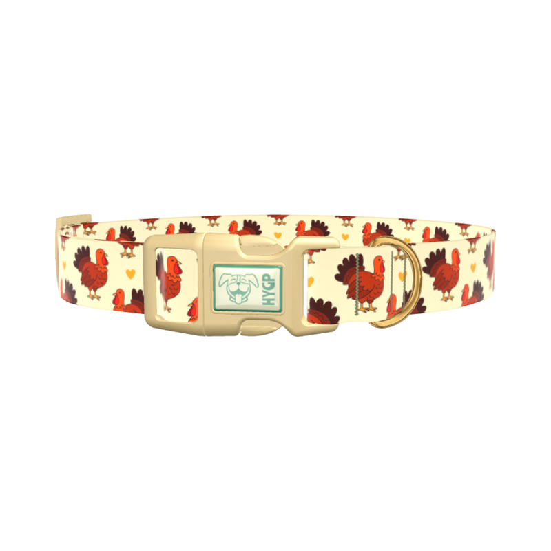 Turkey Heart Dog Collar - plastic silver
