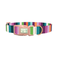 Color Stripe Dog Collar - plastic rose gold
