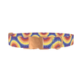 Colorful Burst Dog Collar - metal rose gold