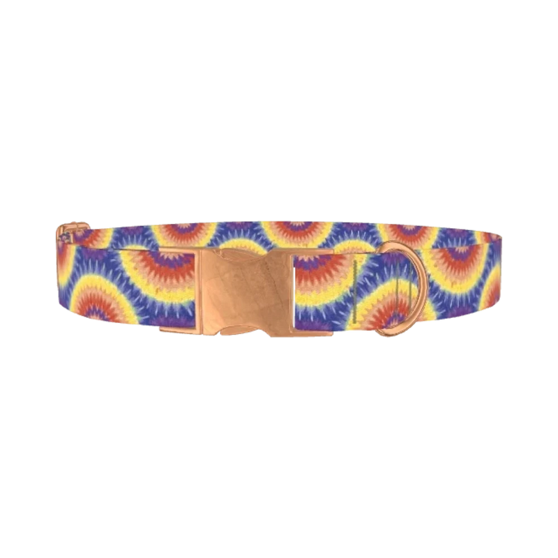 Colorful Burst Dog Collar - metal rose gold