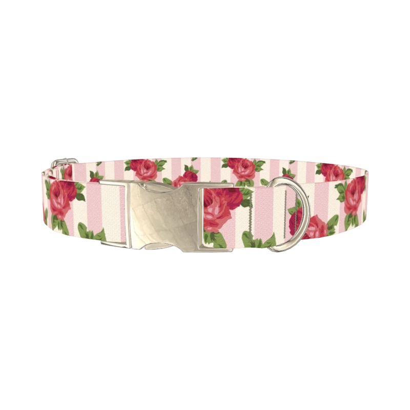 Striped Rose Pattern Dog Collar - metal silver