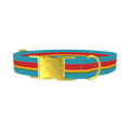 Turquoise Red Stripe Dog Collar - metal gold