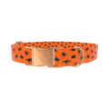 Halloween Tarantula Dog Collar - metal silver