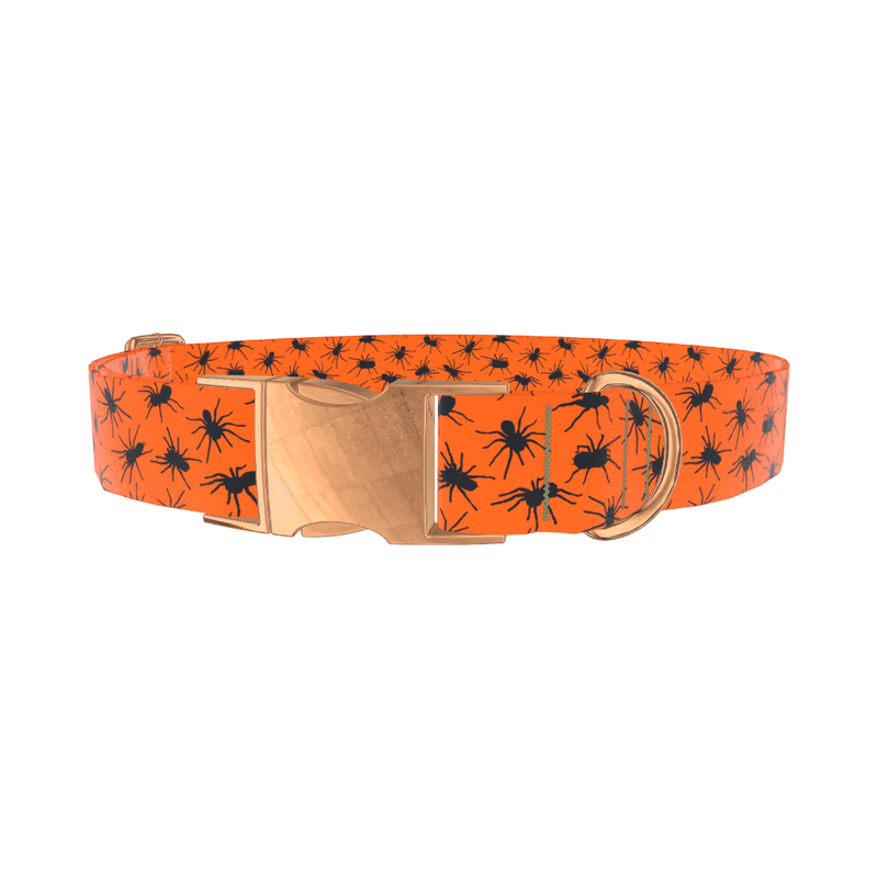Halloween Tarantula Dog Collar - metal silver