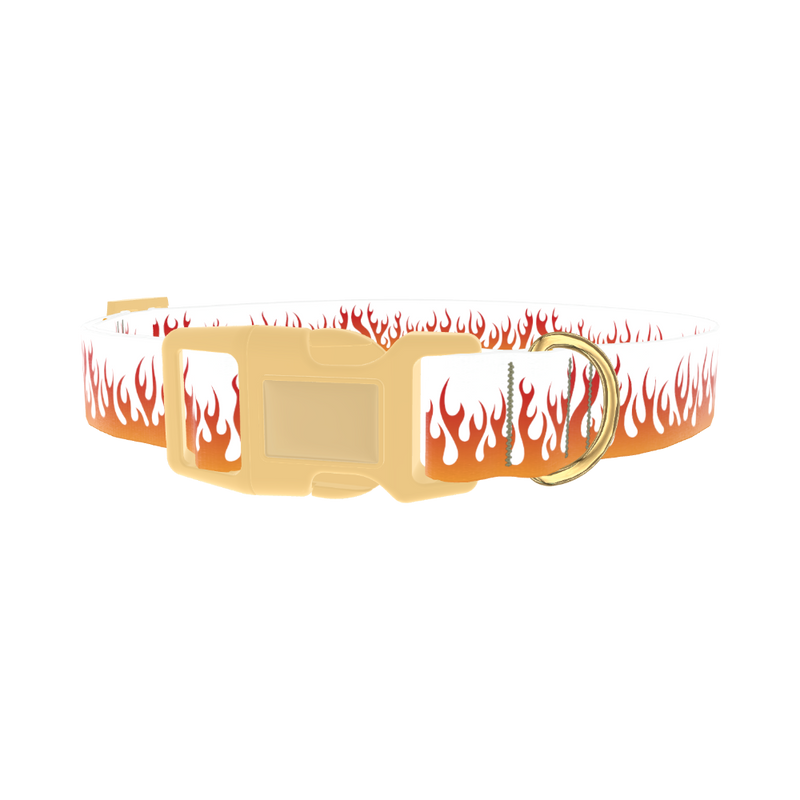 Red Flame Dog Collar - plastic gold