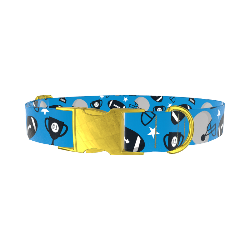 Blue Football Trophy Dog Collar - metal gold