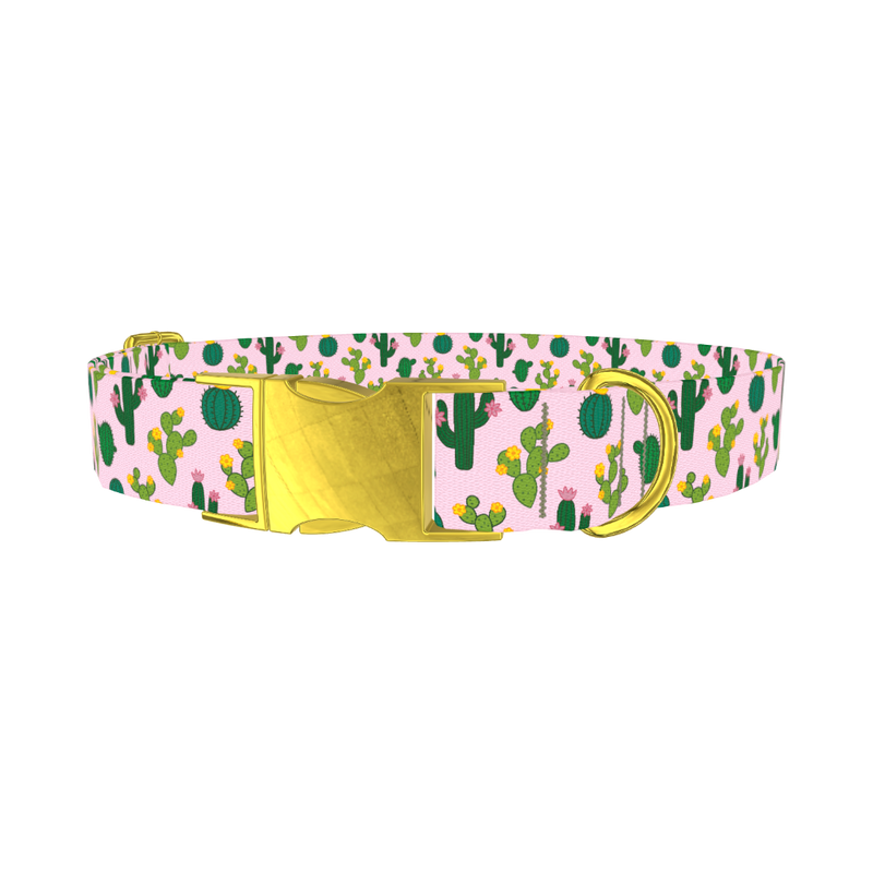 Floral Cactus Dog Collar - metal gold