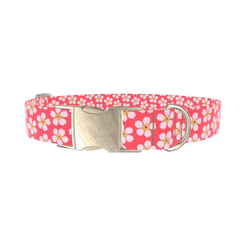 Sakura Floral Dog Collar - metal silver
