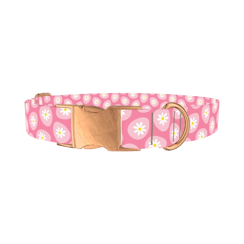 Easter Egg Daisy Dog Collar - metal rose gold