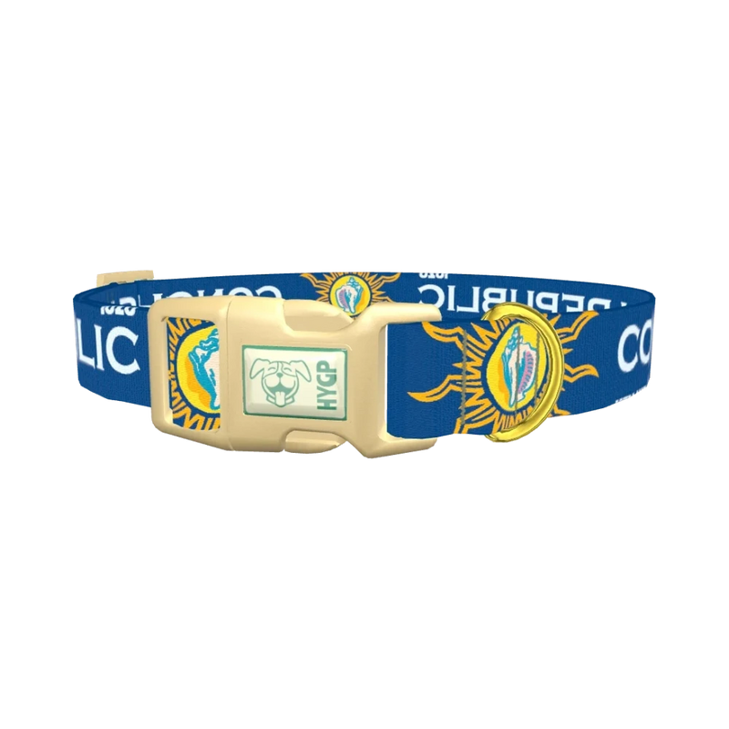 Conch Republic Star Dog Collar - plastic gold