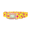 Tropical Palm Tree Dog Collar - plastic rose gold