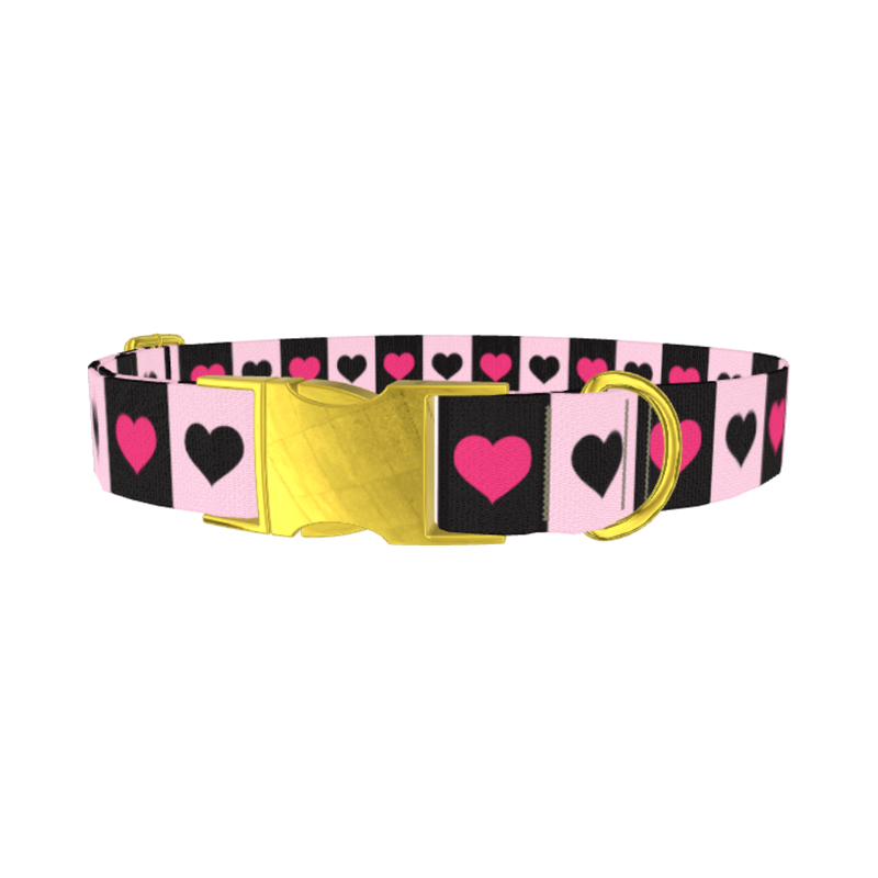 Valentine Heart Stripe Dog Collar - metal gold
