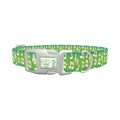 Green Musical Note Dog Collar - plastic silver