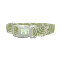 Green Fern Pattern Dog Collar - plastic silver