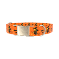 Witch Broomstick Halloween Dog Collar - metal gold