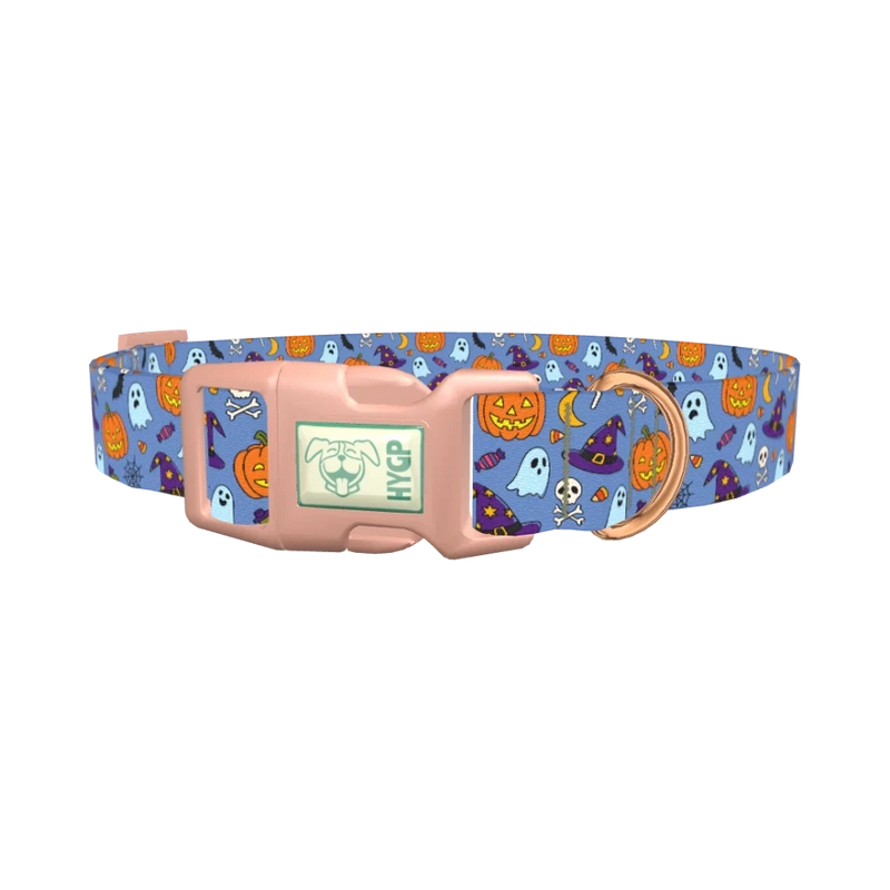 Blue Halloween Witch Hat Dog Collar - plastic rose gold