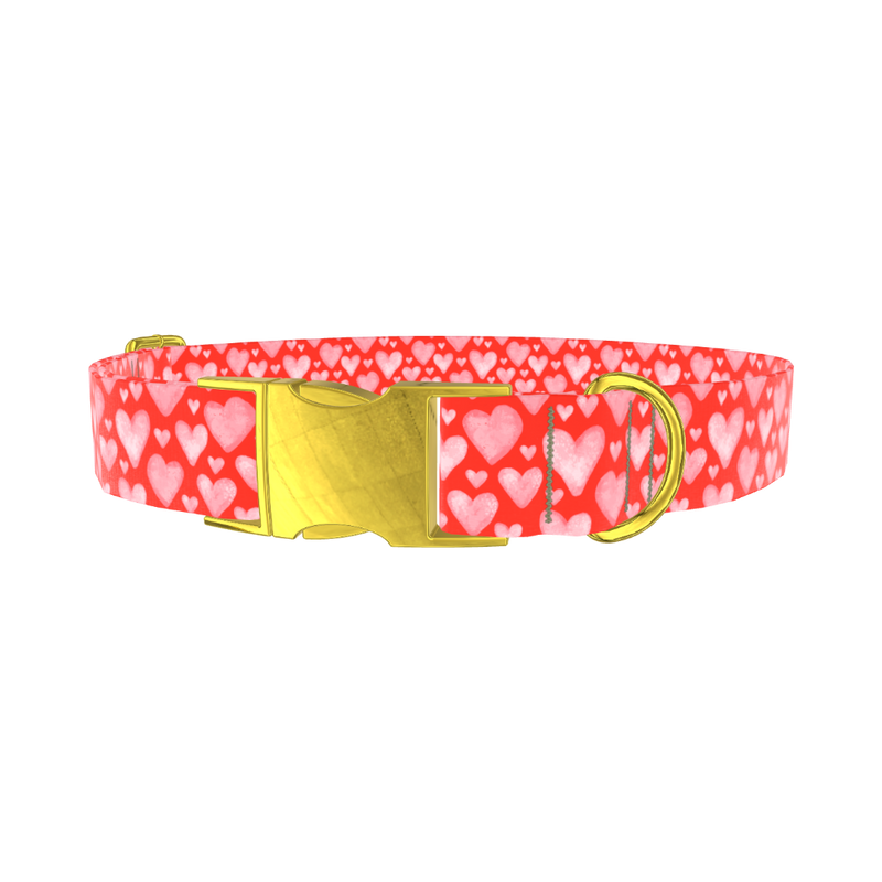 Watercolor Heart Dog Collar - metal rose gold