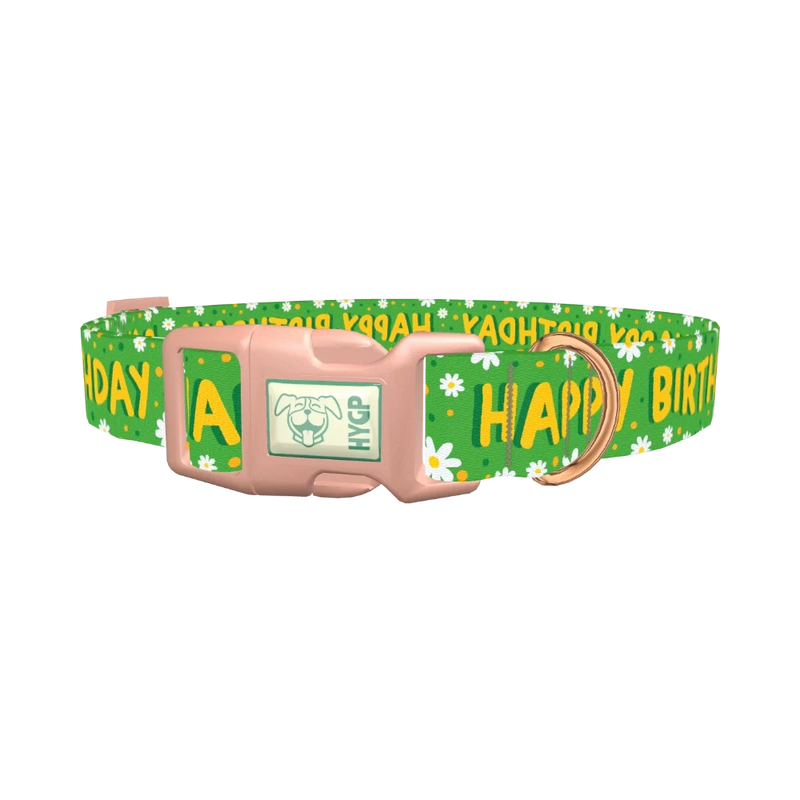 Birthday Floral Dog Collar - plastic rose gold