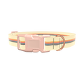 Colorful Hexagon Dog Collar - plastic gold