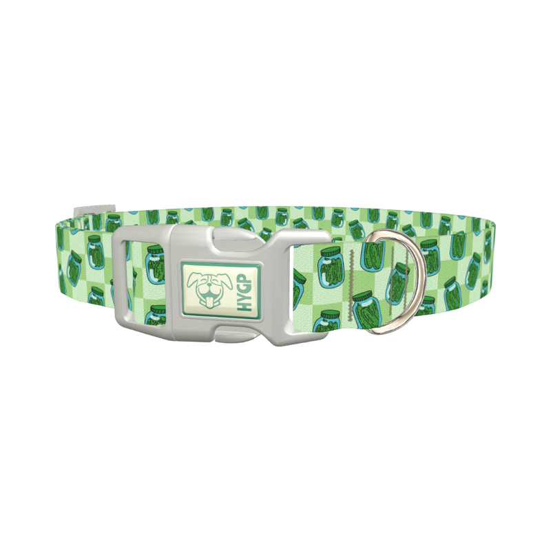 Pickle Jar Dog Collar - plastic silver