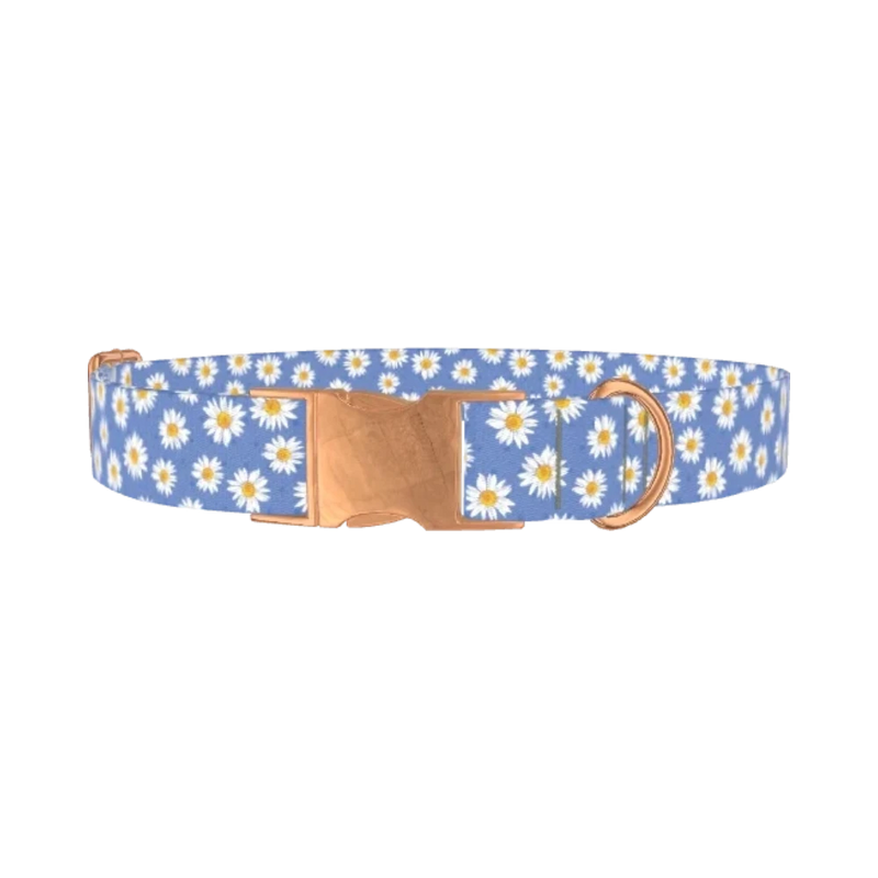Blue Polka Dot Daisy Dog Collar - metal rose gold