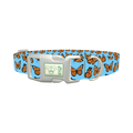 Monarch Butterfly Dog Collar - plastic silver