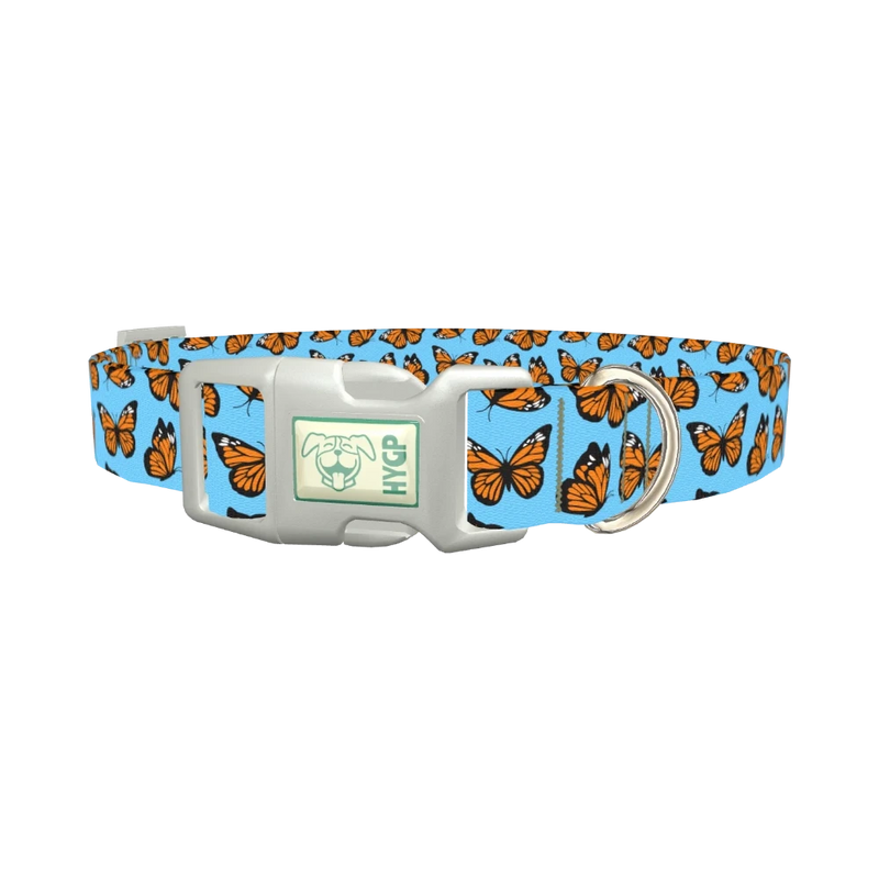 Monarch Butterfly Dog Collar - plastic silver